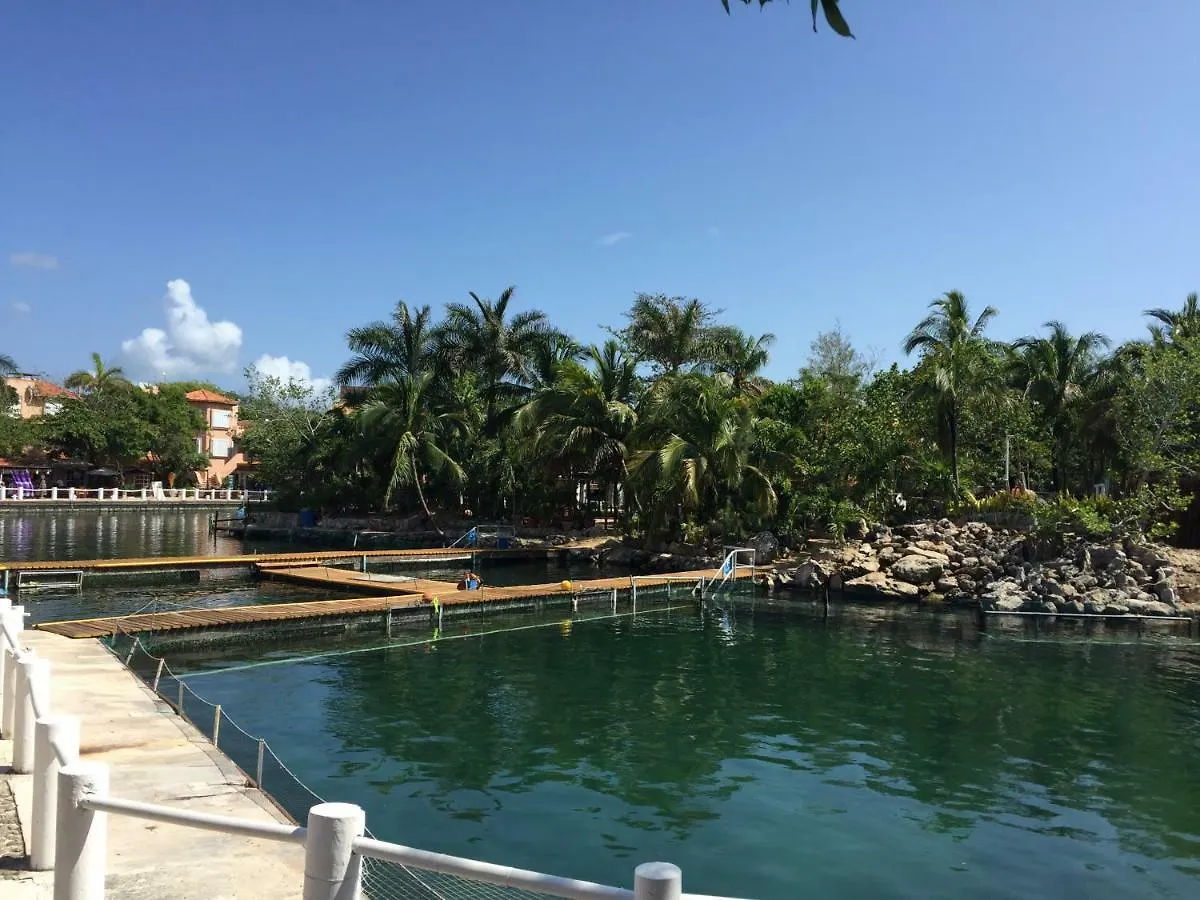 Studio 102 Puerto Aventuras Private Complex With Swimming Pool Apartment